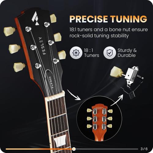 Fesley LP Electric Guitar with Arched Top:39 Solid Body Electric Guitars with Mahogany Body/Rosewood Fretboard,Electric Guitar with Humbucker Pickups,Guitarra Eléctrica with Alice String,Sunburst