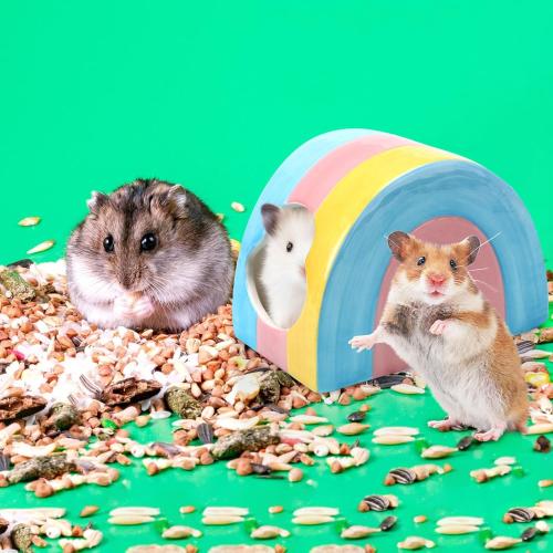Ceramic Hamster Hideaway Colorful Rainbow House with Double Doors Mini Hut Sleeping Nest Hideout Cave Cage Accessories Small Animal Habitat Decor for Dwarf Hamsters Hedgehog (5.23 × 3.26 × 3.26 Inch)