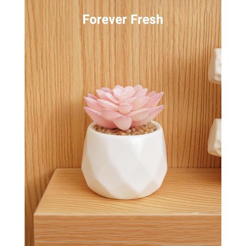 VIVERIE Mini Succulents Plants Artificial in Pots-Rose Pink, Christmas Small Fake Succulents Plants for Home Decor Indoor for Women, White Ceramic Faux Succulents, Set of 1, Gifts for Mom