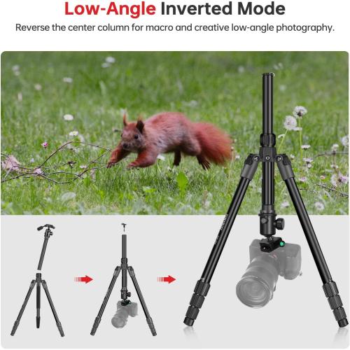 TONYBOO 61.5 Camera Tripod, Aluminum Tripod Monopod with Arca Swiss Ball Head, Heavy Duty Lightweight Reversible Travel Tripod for DSLR Mirrorless Camcorders Phone, Max Load 22 lbs