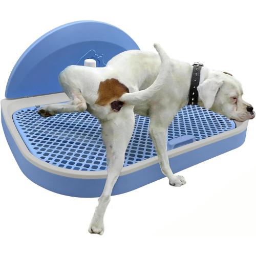 Tfwadmx Pee Pad Holder Dog Potty Tray with Splash Guard & Center Post Mesh Training Toilet Potty Tray Puppy Pad Holder for Puppy and Small Size Dog (Blue, 22.4×17.7)