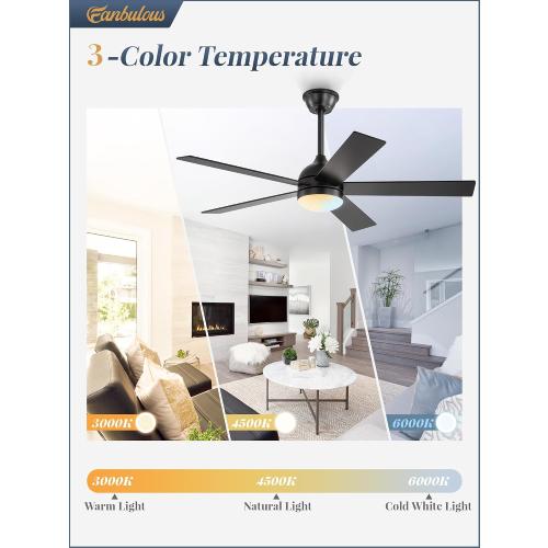 Fanbulous 48 Inch Ceiling Fan with Light and Remote, Black
