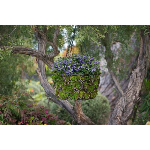 SuperMoss (21508) Preserved Sheet Moss, Fresh Green, 5 Pounds