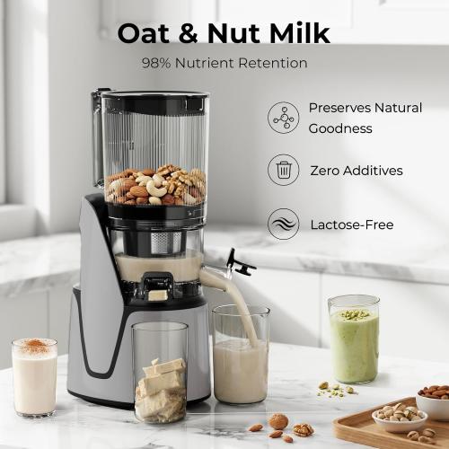 Cold Press Juicer, 5.8 Wide Feed Chute Juice Extractor Machine with 400W, High Juice Yield, Slow Masticating Juicer for Whole Vegetables & Fruits, Silver Gray