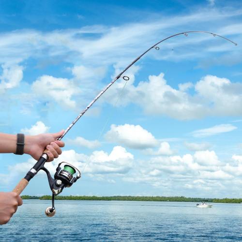 Sougayilang Spinning & Casting Rods, Strong Carbon&Glass Composite Fishing Rod with Stainless Steel Line Guides for Bass, Trout, Panfish, Catfish