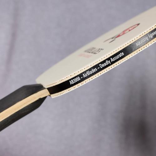 Professional Ping Pong Paddle with Hard Carry Case | Pro Table Tennis Racket | Table Tennis Paddle with Ergonomic Handle | 5 Blades of Wood with Premium Rubber and Sponge by AirBlades