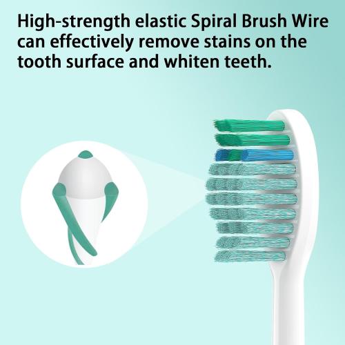 Toothbrush Replacement Heads for TAO Clean Electric Toothbrush, 10 Pack
