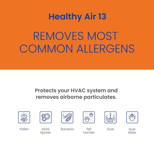 AprilAire 313 Replacement Filter for AprilAire Whole House Air Purifiers - MERV 13, Healthy Home Allergy, 20x20x4 Air Filter (Pack of 1)
