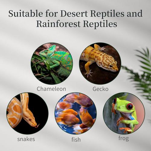 Size 12x12x24 15 Gallon Tall Reptile Glass Tank 12x12x24 with Drainage System - Pre-Assembled Vertical Reptile Cage for Arboreal Geckos,Chameleon,Lizard,Tree Frog and Snake with Terrarium Decoration