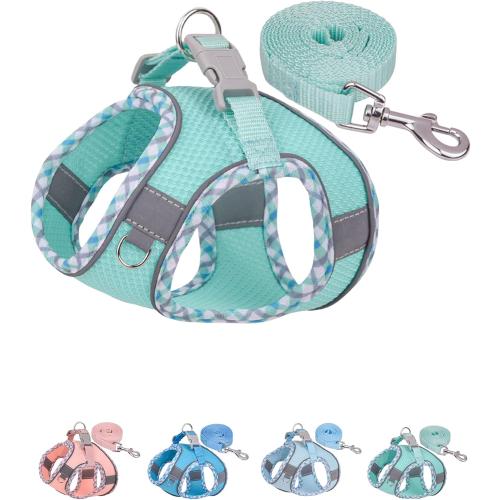 Petank Dog Harness for Small Medium Dogs No Pull, Puppy Harness and Leash Set, Step in Dog Harness for Walking, Running, Training, Small Dog Vest(Green, S)