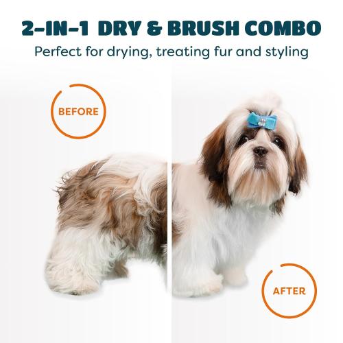 2-in-1 Dog Hair Dryer with Slicker Brush for Small-Sized Dogs