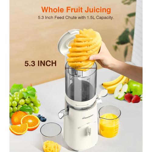 Cold Press Juicer, Zasmira Juicer Machines with Large Feeding Chute, Powerful Slow Juicer with Pulp Seperation, 99.6% Juice Purity, Easy to Clean, White