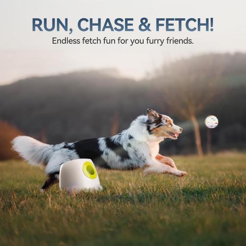 ALL FOR PAWS Automatic Ball Launcher for Dogs, Interactive Puppy Pet Balls Outdoor Thrower for Medium to Large Dogs, Ball Throwing Machine for Dogs, 6 ETPU Balls Included(2.5), Rechargeable Battery