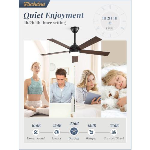 Fanbulous 48 Inch Ceiling Fan with Light and Remote, Black