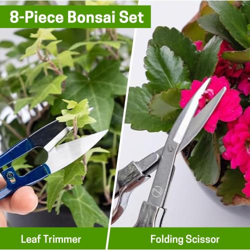 Bonsai Set 8 Pcs - Include Pruner, Fold Scissors, Mini Rake, Bud & Leaf Trimmer Set by ZELARMAN