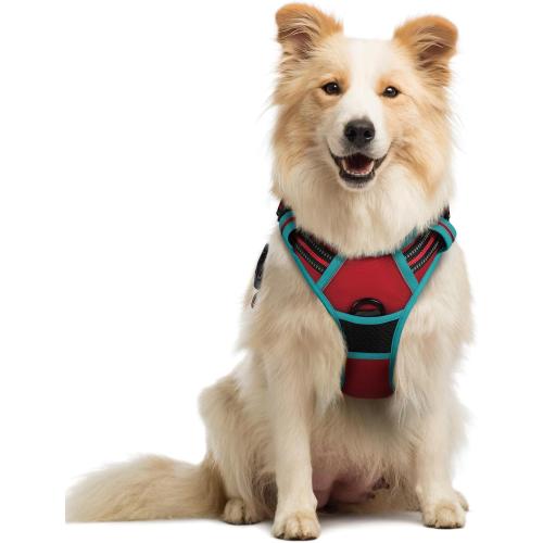 Size L rabbitgoo Dog Harness No Pull with 2 Leash Clips, Adjustable Soft Padded, Reflective Oxford No Choke Pet Vest with Easy Control Handle for Medium Sized Dogs, Red & Teal