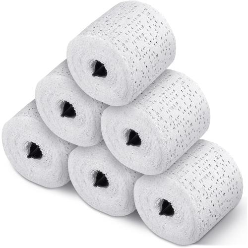 Heentan 6 Rolls Plaster Bandages Strips for Belly Cast Art, 2 x 106 Inches