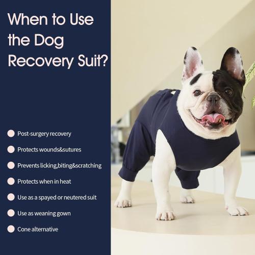 IECOii Dog Surgical Recovery Suit Male Female,Breathable Dog Bodysuit Dog Cone Alternative After Surgery with Pee Hole,Soft Dog Onesie for Spay Neuter Surgery Recovery Prevent Licking,XXXL-Blue