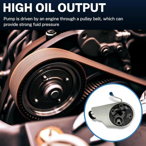 Replace OE 20756710, 26041315, 15077397 20-8704 Power Steering Pump Fits for 2003-2005 Silverado 1500 V6 4.3L/V8 4.8L,for 2002-2006 Sierra 1500 V6 4.3L/V8 4.8L,For 2002-2003 GMC Yukon V8 4.8L/5.3L