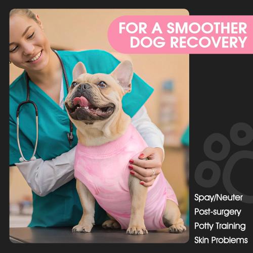 FUAMEY Surgery Suit for Dogs Female After Spayed, Soft Onesie for Surgery