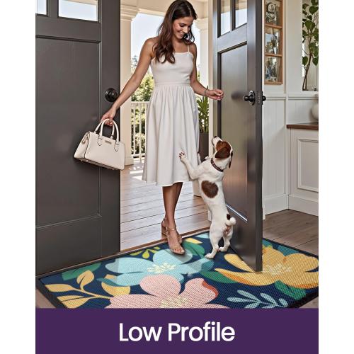 DEXI Front Door Mat Outside Entrance, Spring Welcome Entryway Doormat Dirt Trapper, Heavy Duty Non Slip Large Entry Mats for Patio Garage Porch Home Decorative, 4x6, Colorful Floral