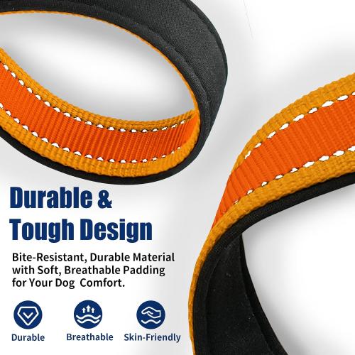 Kazazoo Reflective Dog Collar with Soft Padding Dog Collar for Medium & Small Dogs, No Pull, Heavy Duty, Adjustable Nylon Collar with Quick-Release Buckle, Walking Training-Orange-XS