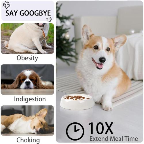 Slow Feeder Dog Bowls Ceramic, Non-Slip Slow Feeder Bowl for Small Medium Dogs & Cats, Puzzle Puppy Food Dish for Fast Eater