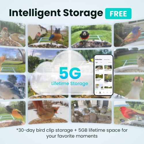 NETVUE by Birdfy Smart Bird Feeder with 2K AI Camera
