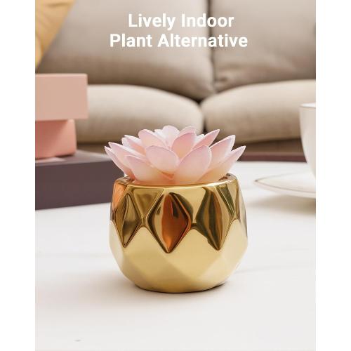 VIVERIE Mini Succulents Plants Artificial in Pots-Pink Succulents with Golden Ceramic, Small Fake Succulents for Home Decor Indoor for Women, White Ceramic Faux Succulents, Gifts for Mom-1 Pack