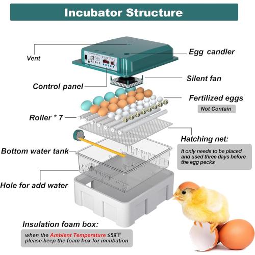 Incubators for Hatching 36 Eggs with Automatic Egg Turning and Humidity Monitoring - 4 Automatic Incubation Modes for Chicken Duck Goose Pigeon