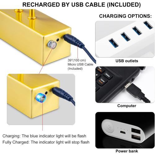 Size 20 Color Brass Picture Light,2Colors Art Lights for Paintings,20 Battery Wall Light,Remote Control Accent Lighting with Timer and Dimmable for Frame,Portrait,Artwork-Brass