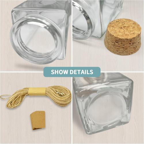 12 Pack Small Glass Jars With Lids, 3.4 oz Mini Bottles With Cork, Twine and Labels for Favors, DIY Crafts, Candy, Potion