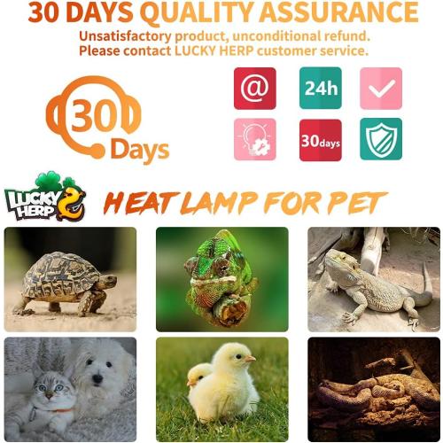 LUCKY HERP 150W Ceramic Heat Emitter, Reptile Heat Bulbs, Ceramic Heat Lamp for Reptiles, Amphibian, Chicken, Dog, Cat (2-Pack)
