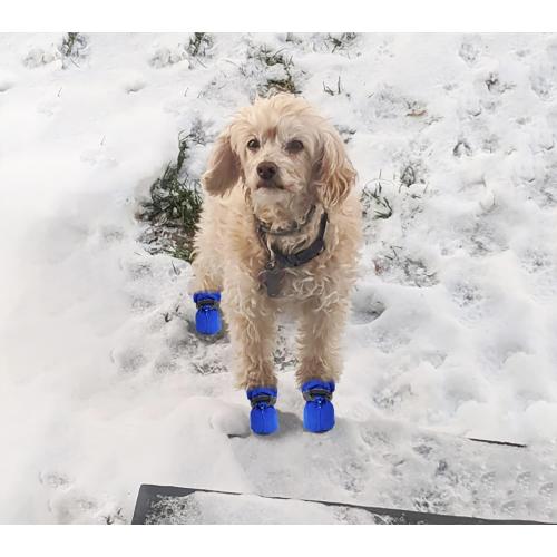 YAODHAOD Dog Shoes for Small Dogs, Puppy Dog Boots & Paw Protector for Winter Snowy Days, Anti-Slip Sole Dog Booties for Indoor Hardwood Floor 4PCS (Blue,Size: 2)