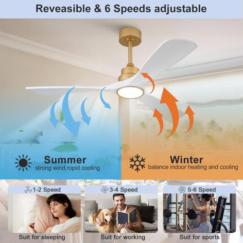 52 Inch White and Gold Ceiling Fans with Lights and Remote, 3 Blade Wood Outdoor Ceiling Fan with Light Outdoor Ceiling Fans for Patios, Bedroom Ceiling Fan for Modern Living Room Patio Indoor Office