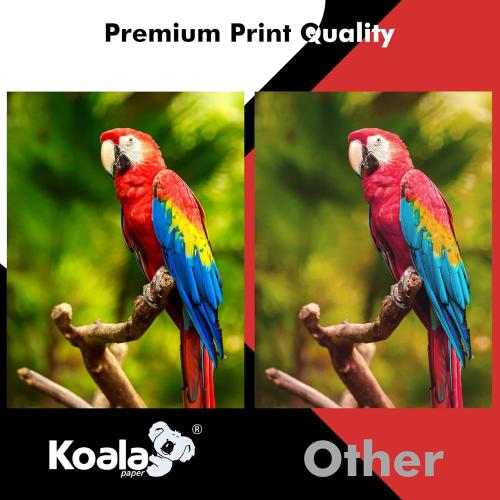 Koala Inkjet Transparency Film 50 Sheets 100% Clear Transparency Paper for Inkjet Printers, for Crafting, Overhead Projector, Screen Printing - 8.5x11 Inches