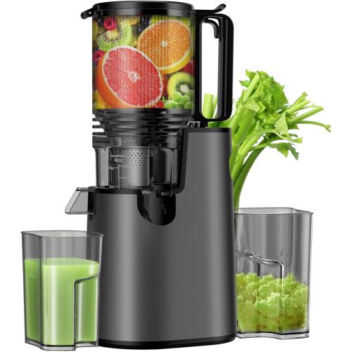 LQZ Cold Press Juicer, Masticating Juicer with Wide Feed Chute, Slow Juicer Machines Fit Whole Vegetables and Fruits with High Juice Yield, Easy to Clean (Black)