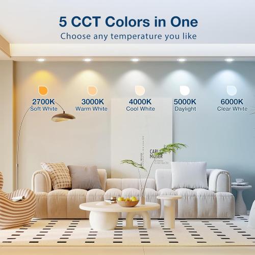 Amico 24 Pack 4 inch 5CCT LED Recessed Lighting, Dimmable, 8.5W=60W, 650LM, 2700K/3000K/4000K/5000K/6000K Selectable, Retrofit Can Lights with Baffle Trim, IC Rated - ETL & FCC, White