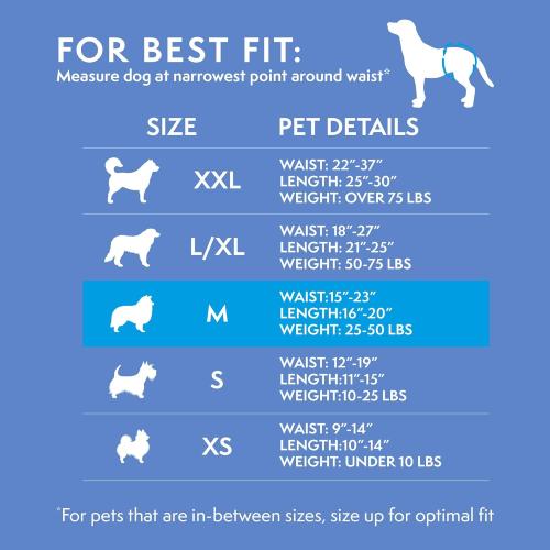 Simple Solution Disposable Dog Diapers, Female Dog Diapers, Puppy Potty Training, Incontinence and Heat Cycle Protection, Medium Diapers for Dogs, 15-23 Inch Waist, 30 Count