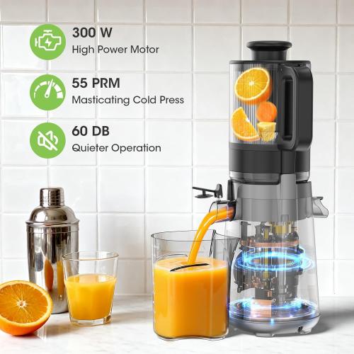 Juicer Machines, 5.3 Wide Feed Chute Cold Press Juicer for Whole Vegetables & Fruits, High Juice Yield, BPA Free (Slivery)
