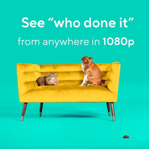 WYZE Cam Pan v2 1080p Pan/Tilt/Zoom Indoor Security Camera with Color Night Vision, Motion and Sound Detection, Wi-Fi Smart Home Security Camera Compatible with Alexa & Google Assistant, White