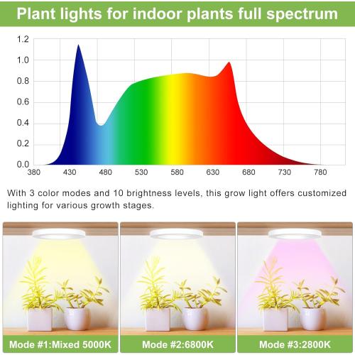 Full Spectrum Grow Light for Indoor Plants, 216 LEDs Halo Plant Light with Auto On/Off Timer (4/8/12H), 10-Level Brightness, 3 Lighting Modes, for Small Plants & Seedlings (White, Tri Head)