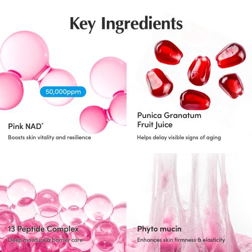 EQQUALBERRY NAD  Peptide Boosting Cream – NAD  5% & 13 Peptides Anti-Aging Korean Skincare Face & Body Cream | Firming & Lifting Pink Neck Cream for Sagging Skin (1.69 fl.oz / 50ml)