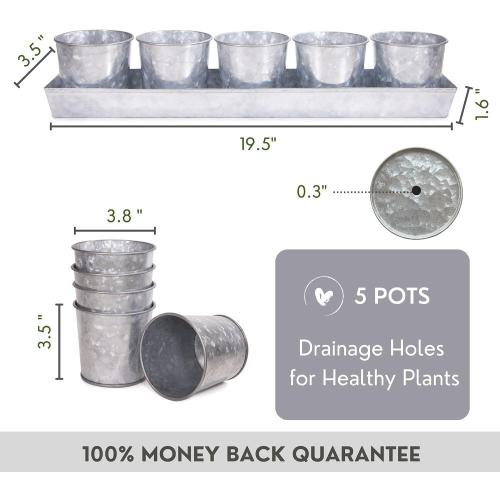 Galvanized Metal Herb Planter, 5 Pots with Drainage Holes, Indoor Outdoor Use, Farmhouse Decor, 19.5x3.9x3.5 inches