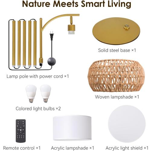 Gold Boho Rattan Floor Lamp w/Remote, Dimmable (2700K - 6000K), 2 - in - 1 Wicker & Fabric Shade, Adjustable 165-172cm for Living Room & Bedroom