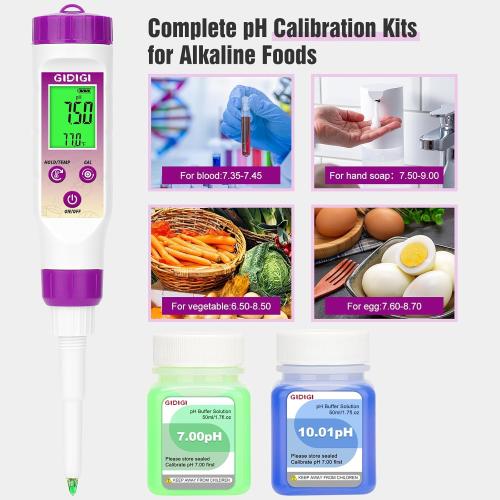 pH Meter for Food Fermentation, Spear pH Probe for Canning Salsa