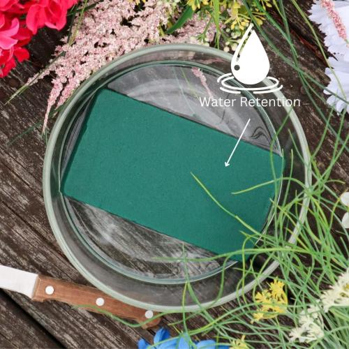 FLOFARE Pack of 6 Floral Foam Blocks Each (5.5L x 3.1W x 1.6H) Green Wet & Dry Flower Foam for Fresh & Artificial Flower Arrangement, Plant Foam, Florist Supplies for DIYs, Arts, Crafts & Weddings