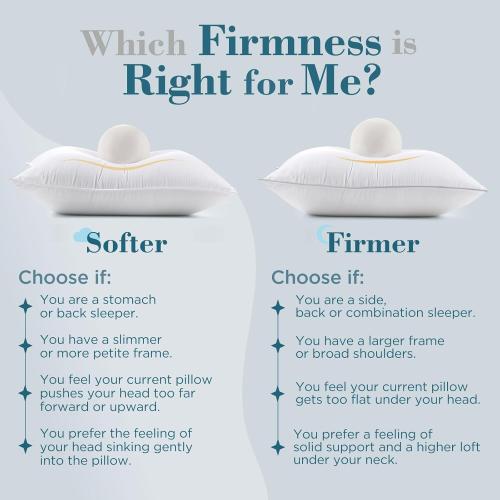 viewstar Bed Pillows Queen Size Set of 2, Hotel Quality, Down Alternative Pillow for Side, Back, or Stomach Sleepers, Soft