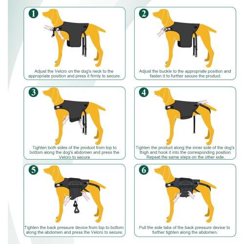 Dog Back Brace for IVDD, Arthritis, Slipped and Herniated Discs – Provides Back Support and Pain Relief, Stabilizes Spine for Surgical Recovery and Mobility, Dogs Back Disease Prevention(Black,L)