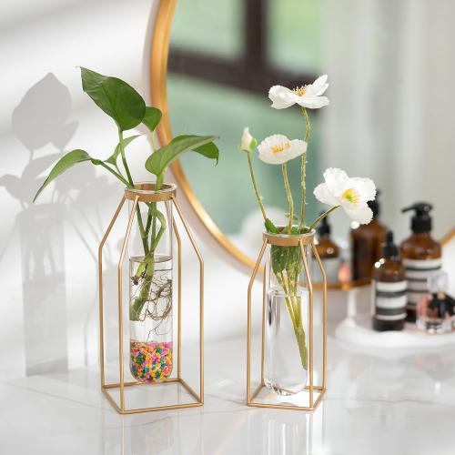 Sziqiqi Metal Flower Vase Table Decor - Gold Frame Vase with Glass Test Tubes 8/10 Modern Bud Vase for Coffee Table Living Room Abstract Geometric Art Vase for Rose Hydroponic Plant Pampas